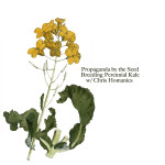 Breeding Perennial Kale w/ Chris Homanics