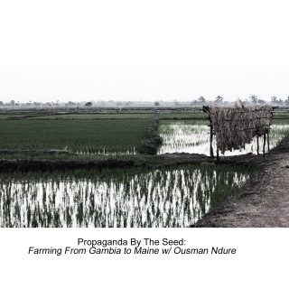 Farming From Gambia to Maine w/ Ousman Ndure