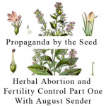 Herbal Abortion and Fertility Control with August Sender