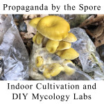 Indoor Mushroom Cultivation and DIY Mycology Labs