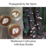 Mushroom Cultivation with Kate Roelke