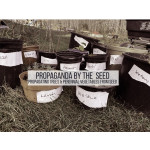 Propagating Trees & Perennial Vegetables From Seed