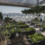Rooftop Gardens w/ Mike Spade