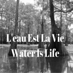 No Bayou Bridge Pipeline! An Interview with L'eu Est La Vie camp