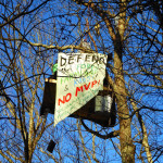 Tree-Sitting to Stop the Mountain Valley Pipeline